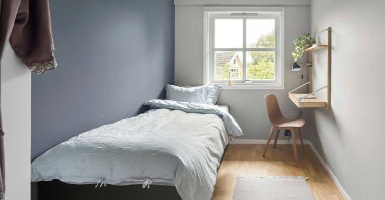 যেভাবে সাজালে ছোট ঘরও বড় দেখাবে