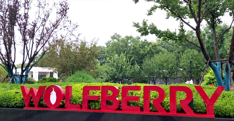 উলফবেরি, চীনা ভাষায় নবিজির জীবনী, এবং রাজকীয় কবরস্থান