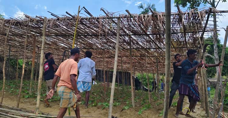 কক্সবাজারে বনের ছয় একর জমি উদ্ধার