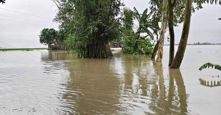 কুড়িগ্রামে তিস্তার পা‌নি বিপৎসীমার ২০ সেন্টিমিটার ওপরে
