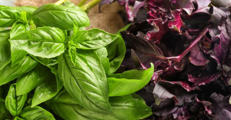 শাক কখন ও কী দিয়ে খাওয়া উচিত