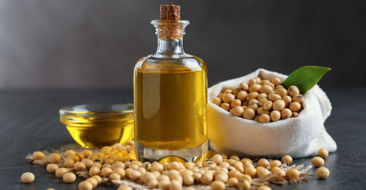 সয়াবিন নাকি সরিষা, প্রতিদিনের রান্নায় কোন তেল খাবেন
