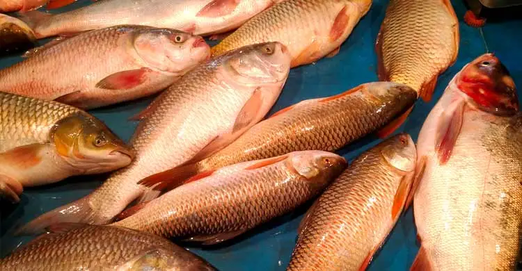 ময়মনসিংহে কমেছে সবজি ও মাংসের দাম