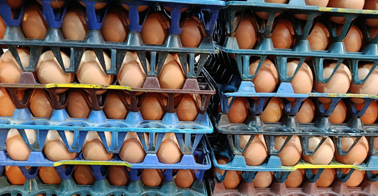 ডিম চড়া, আগের দামেই মিলছে সয়াবিন তেল