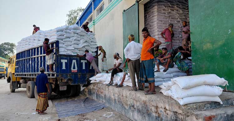 লালমনিরহাটে নন-ইউরিয়া সারের ‘কৃত্রিম’ সংকট, বিপাকে কৃষক