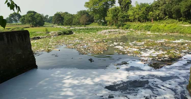 রাসিকের দূষণে ধুঁকছে প্রমত্তা বারনই নদী