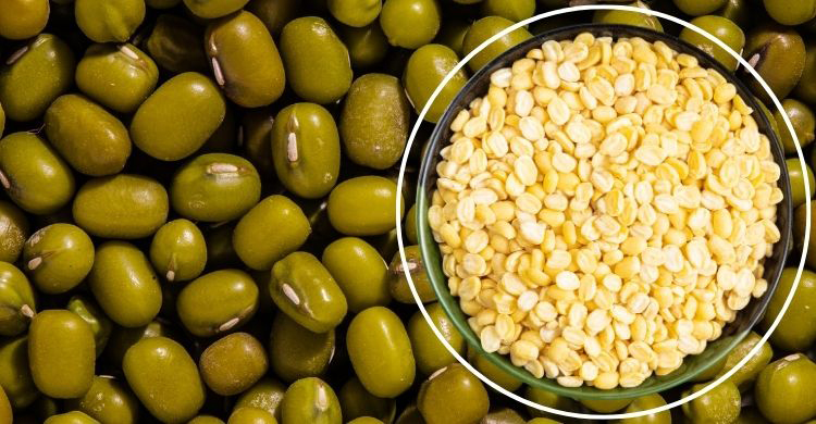 ডায়াবেটিস রোগীদের নিরাপদ খাবার মুগ ডাল