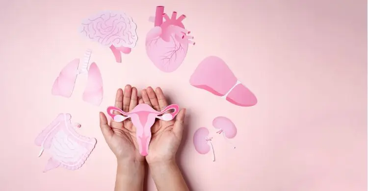 নারীর মেজাজ ও এনার্জি নিয়ন্ত্রণ করে যে হরমোন