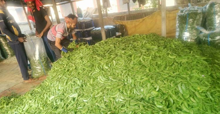 সপ্তাহের ব্যবধানে ৭০ টাকা পর্যন্ত বেড়েছে শিমের দাম