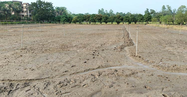 ল্যাবেই বন্দি উদ্ভাবন, প্রয়োগ নেই মাঠে