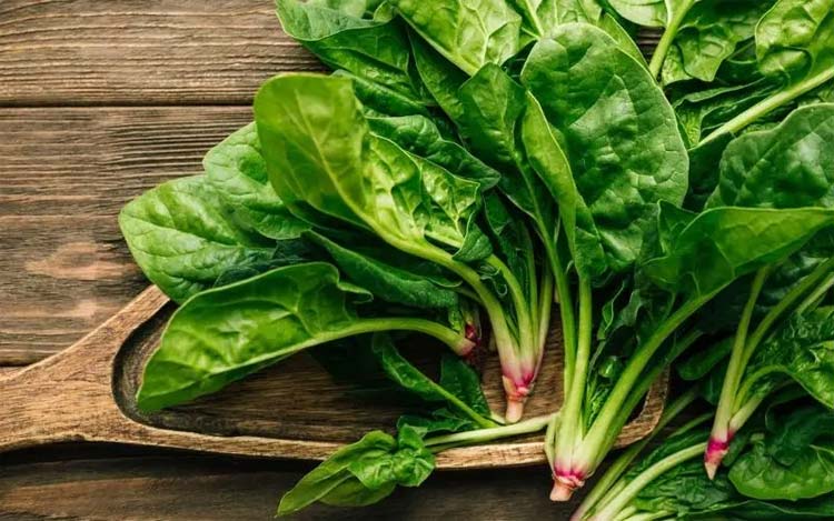 পালং শাক খাওয়া এড়িয়ে চলবেন যারা