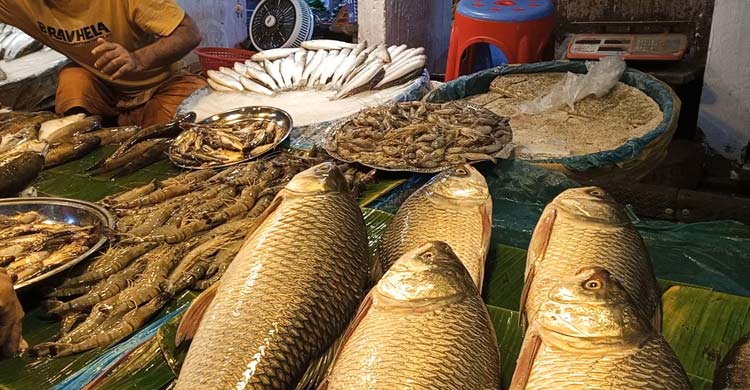 খুলনায় সরবরাহ বাড়লেও দাম কমেনি সবজির