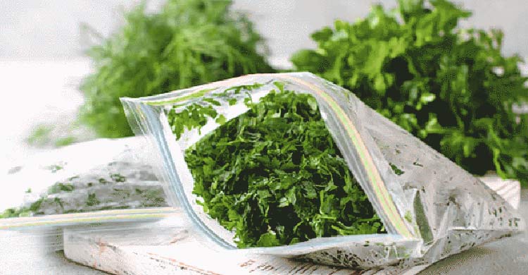 শীতকালে ধনিয়াপাতা দীর্ঘসময় সতেজ রাখার উপায়