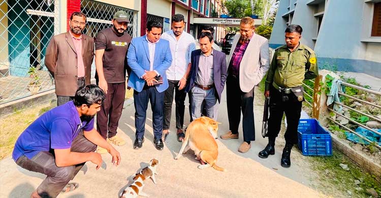 নতুন দুই ছানা পেল সন্তানহারা সেই মা কুকুর, চিকিৎসায় ৮ সদস্যের টিম