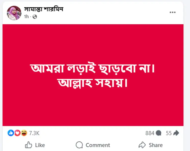 তাসনিম জারার পদত্যাগের পর এনসিপির ৩ শীর্ষ নেত্রীর &lsquo;রহস্য পোস্ট&rsquo;