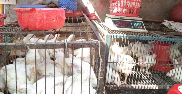 ময়মনসিংহে সবজির দামে স্বস্তি, উত্তাপ বেড়েছে মুরগির বাজারে