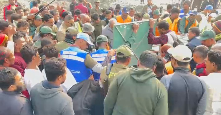 সুন্দরবনে ফাঁদে পড়া বাঘ উদ্ধার, নেওয়া হচ্ছে রেসকিউ সেন্টারে