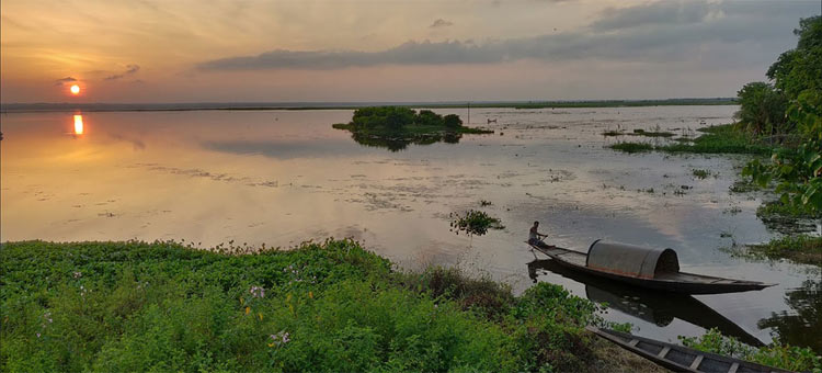 সংরক্ষিত বাইক্কা বিলে কমেছে পরিযায়ী পাখি