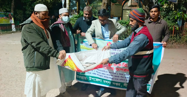 সীতাকুণ্ডে জাটকা বিক্রির অপরাধে ব্যবসায়ীকে জরিমানা
