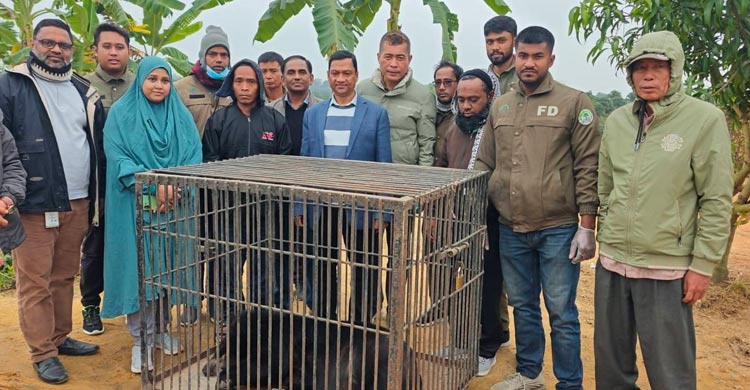 খাগড়াছড়িতে বিপন্ন ভালুক-হরিণসহ ৯ বন্যপ্রাণী উদ্ধার