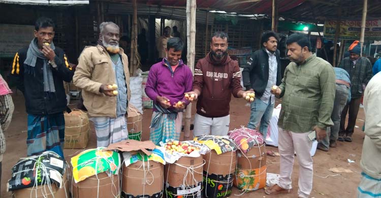 শার্শায় বাড়ছে কুল চাষ, কৃষি অর্থনীতিতে নতুন সম্ভাবনা