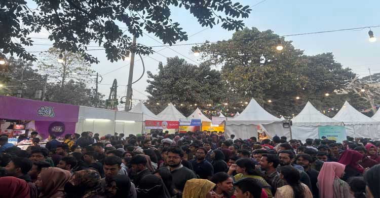 টিএসসিতে হয়ে গেলো ৩ দিনব্যাপী পিঠামেলা