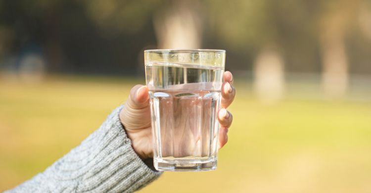 প্রতিদিন স্যালাইন বা ডাবের পানি পান করা কি আদৌ নিরাপদ