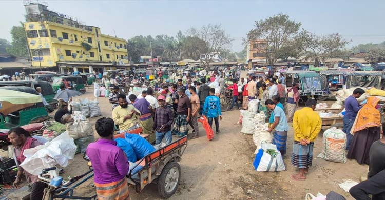বগুড়ায় ৩০ টাকার লাউ ১৫, ৫০ টাকার বেগুন ২০