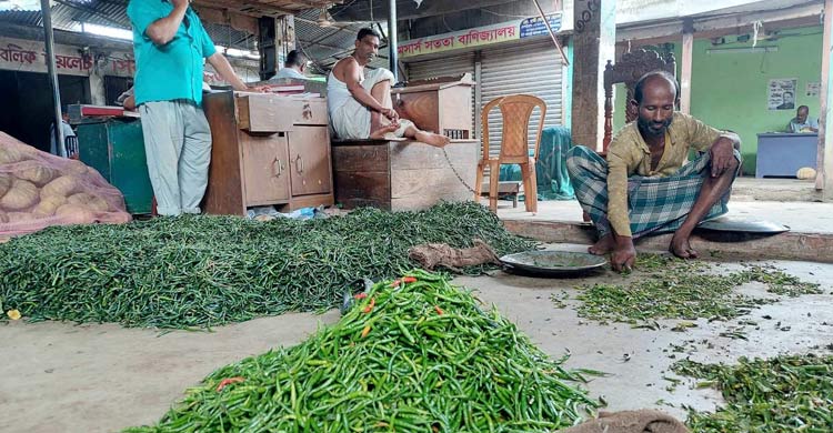 কেজিতে ৩০ টাকা পর্যন্ত কমেছে সবজি, তেজ কমেনি কাঁচামরিচের