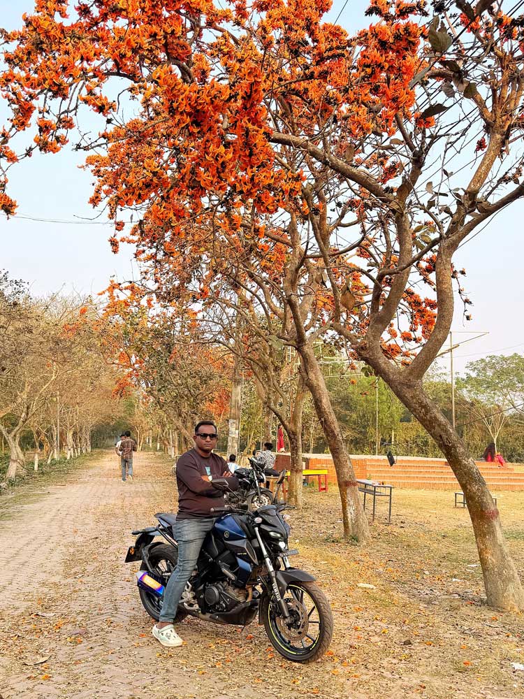 পলাশের রক্তিম আভায় রঙিন বরিশাল বিশ্ববিদ্যালয় ক্যাম্পাস