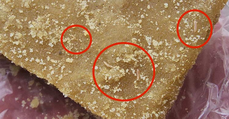 সুপারশপের গুড়ে কিলবিল করছিল পোকা, মালিকের বিরুদ্ধে মামলা