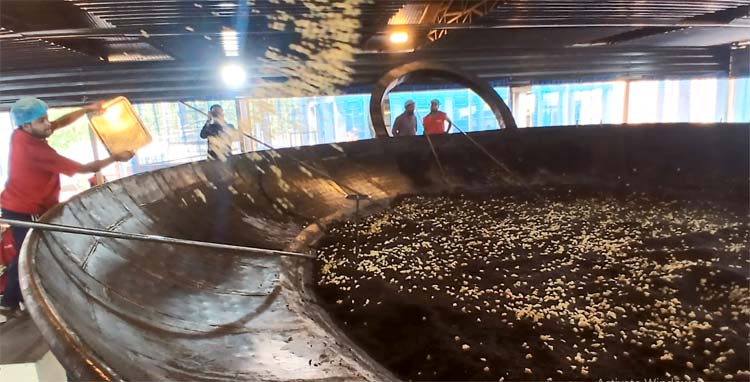 তিস্তা একসময় মায়ের মতো ছিল, এখন বিধ্বংসী রূপ ধারণ করেছে