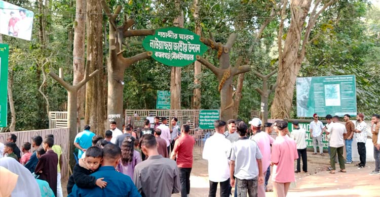 লাউয়াছড়ায় পর্যটকের উপচে পড়া ভিড়