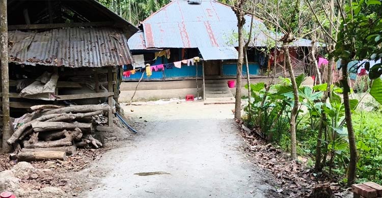 সরকারি রাস্তার বরাদ্দের ইট দিয়ে নিজ বাড়ির রাস্তা করলেন ইউপি সদস্য