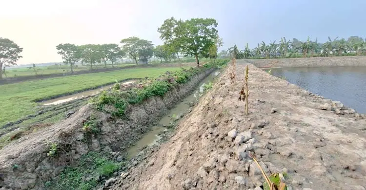 অন্যের মৎস্য খামারের মাটি কেটে বিক্রির অভিযোগ বিএনপি নেতার বিরুদ্ধে