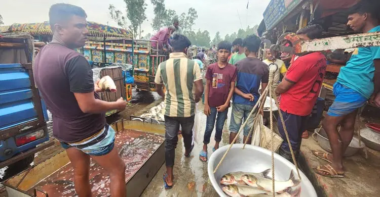 ৭ হাজার টাকা পর্যন্ত বেড়েছে ট্রাকভাড়া, বাড়ছে মাছের দাম