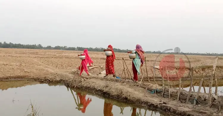 এক কলস পানির জন্য পাড়ি দিতে হয় মাইলের পর মাইল