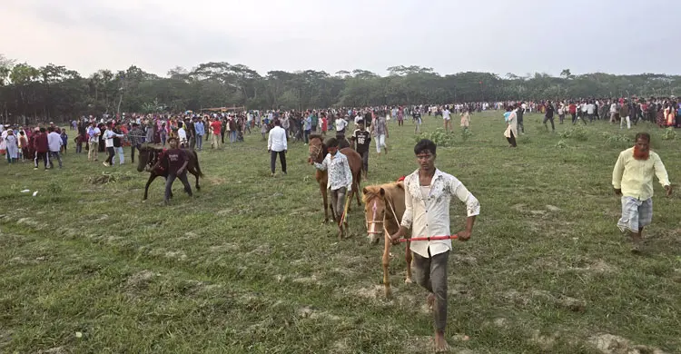 পহেলা বৈশাখে পটুয়াখালীতে ঘোড়দৌড়