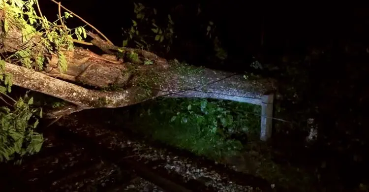 ৩ ঘণ্টা পর যোগাযোগ স্বাভাবিক, ঢাকা-ময়মনসিংহ রুটে ট্রেনে শিডিউল বিপর্যয়