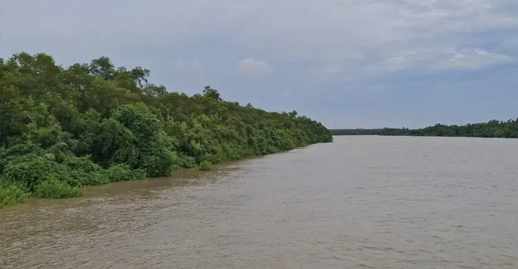 সুন্দরবনে দস্যুতায় ফিরছেন আত্মসমর্পণকারীরা, নেপথ্যে দুই কারণ