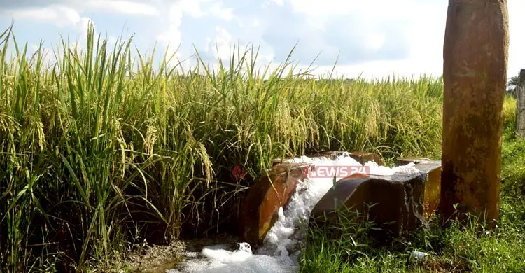 জ্বালানি সংকটে ভরসা সোলার পাম্প