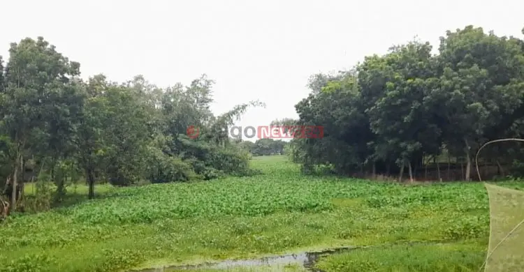 এক সময়ের আশীর্বাদ কমলা নদী এখন কৃষকের জন্য &lsquo;অভিশাপ&rsquo;