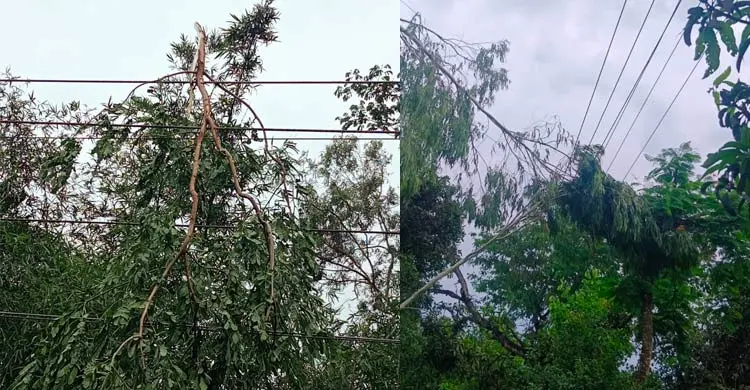 মিরসরাইয়ে ৩০ ঘণ্টা বিদ্যুৎহীন ১০ হাজার পরিবার