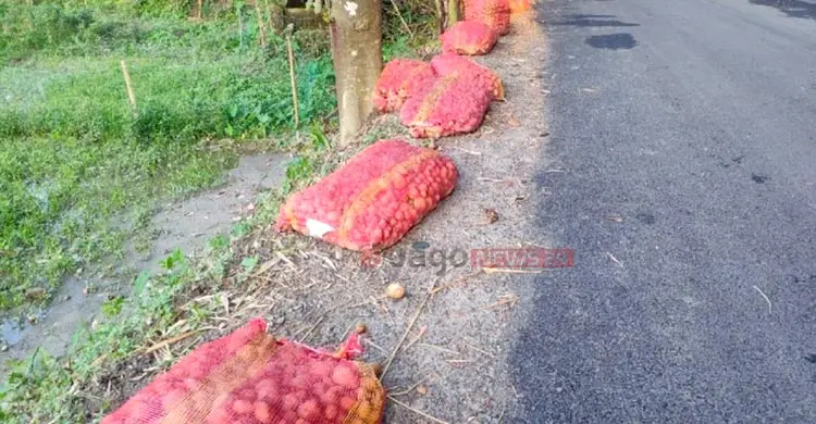 আলু এখন &lsquo;গলার কাঁটা&rsquo;