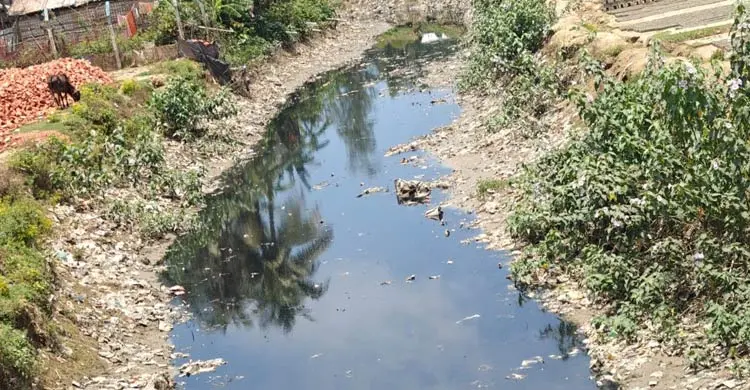 টেকনাফের খাল-বিল এখন রোহিঙ্গাদের বিষাক্ত বর্জ্যের ভাগাড়