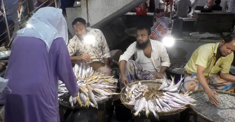 ইলিশ উধাও, জলবায়ু পরিবর্তনকে দুষছেন গবেষকরা