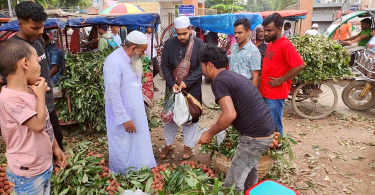 দিনাজপুরে জমতে শুরু করেছে লিচুর বাজার