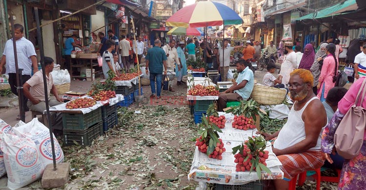 কেজিতে বিক্রি হচ্ছে লিচু, লাভ নাকি ক্ষতি