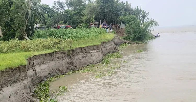 তীব্র ভাঙনে বিলীন হচ্ছে বাড়িঘর, ১১৮ হেক্টর জমির ফসল নষ্ট