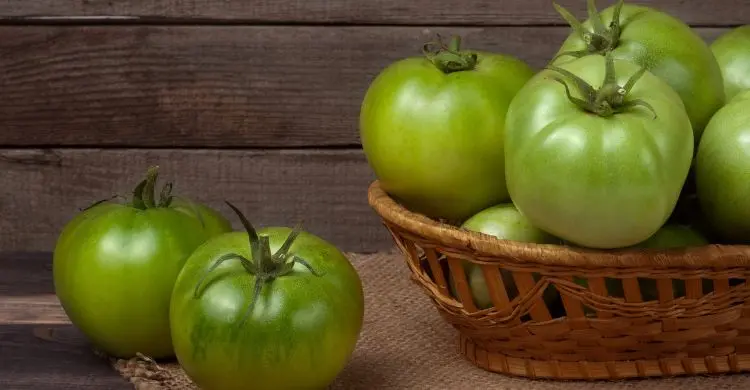 কাঁচা টমেটোর ভাজি যে কারণে খাবেন, যেভাবে রাঁধবেন